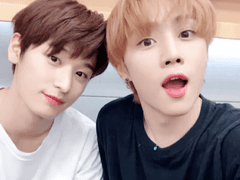 [덥페스] 쥬선 포타 모음