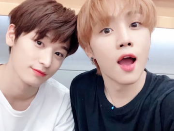 [덥페스] 쥬선 포타 모음