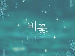 비꽃 - BGM