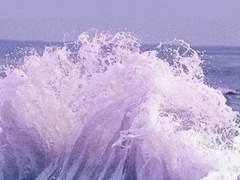 노리키에 썰 백업