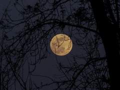 [미사와] 기호지세 - 轉.