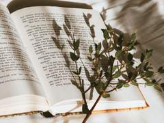 동화가 있다면,