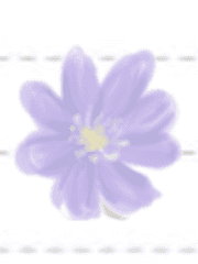 친애하는 리브셀에게-