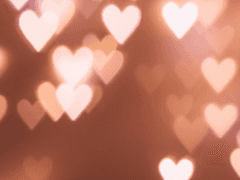 아츠쵸 400 후기