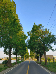 저는 평범한 학생입니다