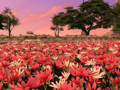 에오르제아 여행사진4