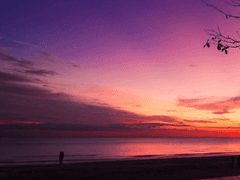 양화대교_사진모음