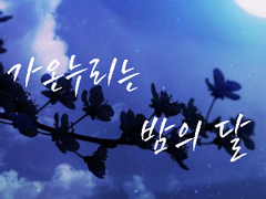 가온누리는 밤의 달