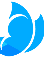 모르포니카 카드 스토리