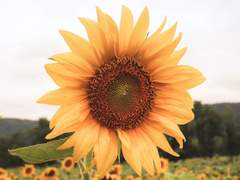 [준히로] 히로 군, 히로 군