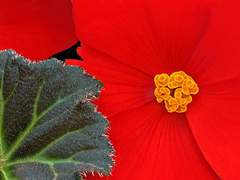 딱 아홉 번 읽기/시를 찾아가는 아홉 갈래 길