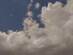 오얏을 만난 여름(2)