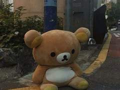 김할머 홈마들 사이에 도는 썰