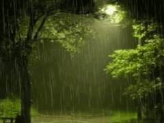 가까운 사람에게 상처받고 모르는 사람에게 위로받는 날