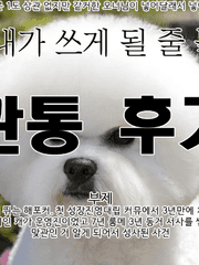 무절임 관통후기