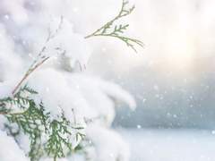 [Onepice] 크리스마스 전야_4제