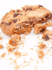 센티넬 타임 리프 썰