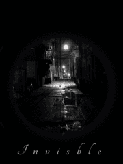 Invisible