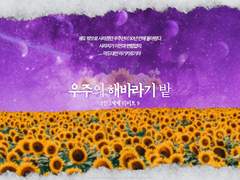 우주의 해바라기 밭