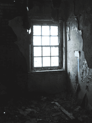 미드나잇 서커스