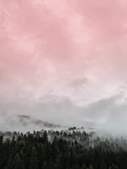 너에게 가는 길