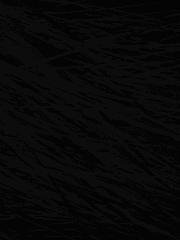 소설 타입 샘플