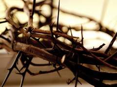 난 당신이 생각하는 그런 타락천사가 아닙니다