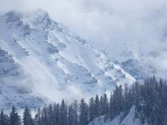 살아주세요, 황자님!