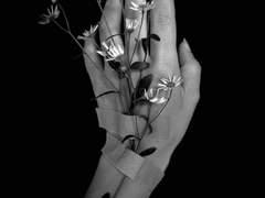 [청석선화(청석진수)] Hide and Seek 01