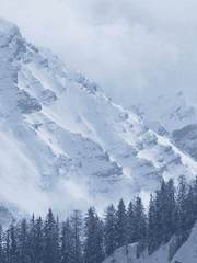 살아주세요, 황자님!