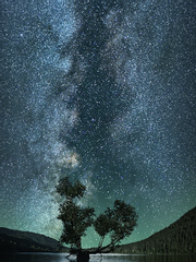 전지적 독자 시점