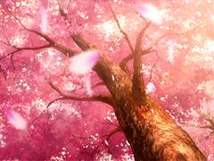 이중 메이드?! 되버렸습니다..