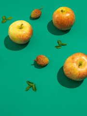 설익은 풋사과처럼