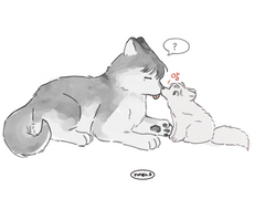 12/5~6 그림 정리