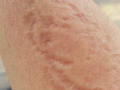 19. 너무 상향평준화가 되어있어서 내가 서있는 곳이 땅인지 지하인지 알 수 없어.