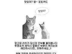 맛있어? 염~ 투명 포토카드 도안