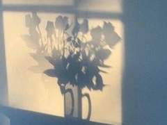 Ein Lied für eine dunkle Nacht