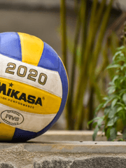 오늘도 평범하게