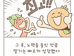 🍓14_ 노력해도 안될 때