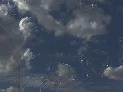 푸르게 물든 압화