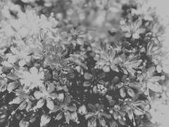 내가 더 말을 얻어도 될까요.