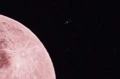 [ 솔직한 마음에 대해, ]