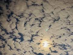 비록 영원은 없지만