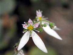 [제티] 생일 축하해, 제레미