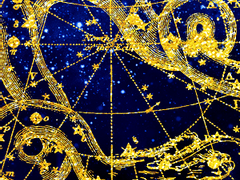 메이플 기록 20 - 테라버닝 비숍, 몬스터 컬렉션, 우르스, 별빛 심포니