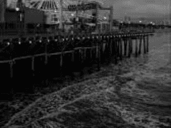 죽은 시인의 사회 1