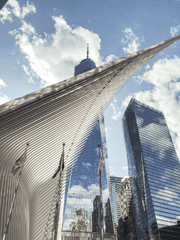 다른 세계선의 필름이론