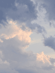 겨울이 끝나기 전에, 봄이 돌아오기 전에