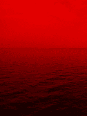 올리려던 센티넬썰