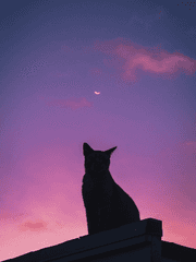 [하이큐/드림] A Moment